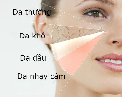 Da dầu nhờn nên dùng loại sữa rửa mặt nào?