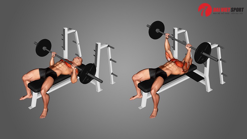 Bài tập Barbell Bench Press