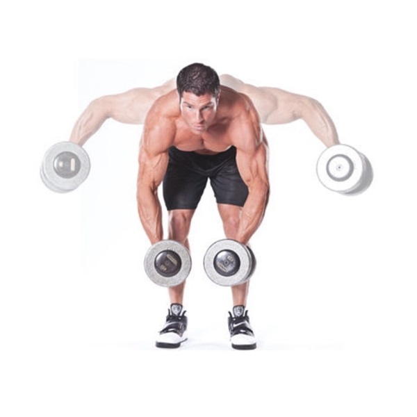 bai-tap-bent-over-dumbbell-lateral-raise-2