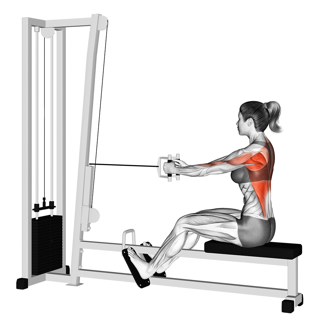 bai-tap-seated-cable-row