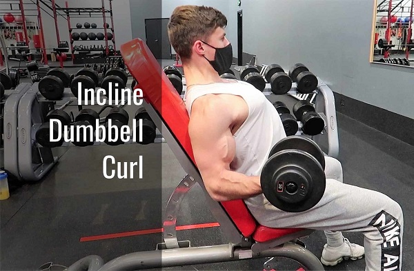 bi-quyet-thuc-hien-incline-dumbbell-curl