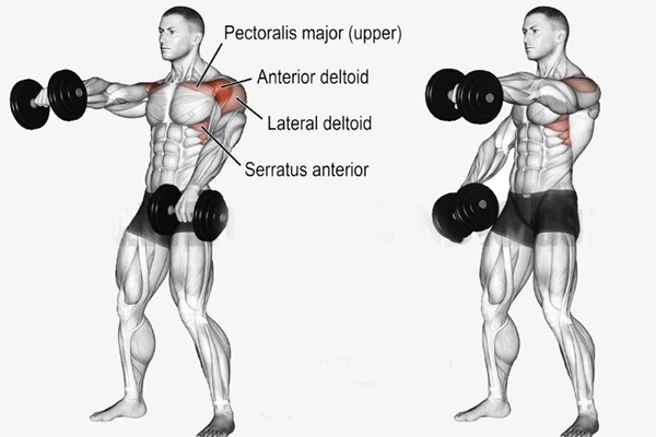 loi-ich-bai-front-shoulder-raises