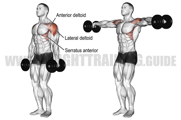 loi-ich-bai-tap-dumbbell-lateral-raise