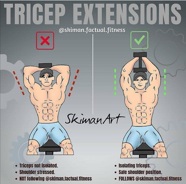 loi-sai-overhead-triceps-extension