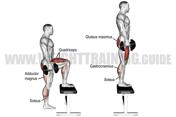 nhom-co-tac-dong-bai-step-up