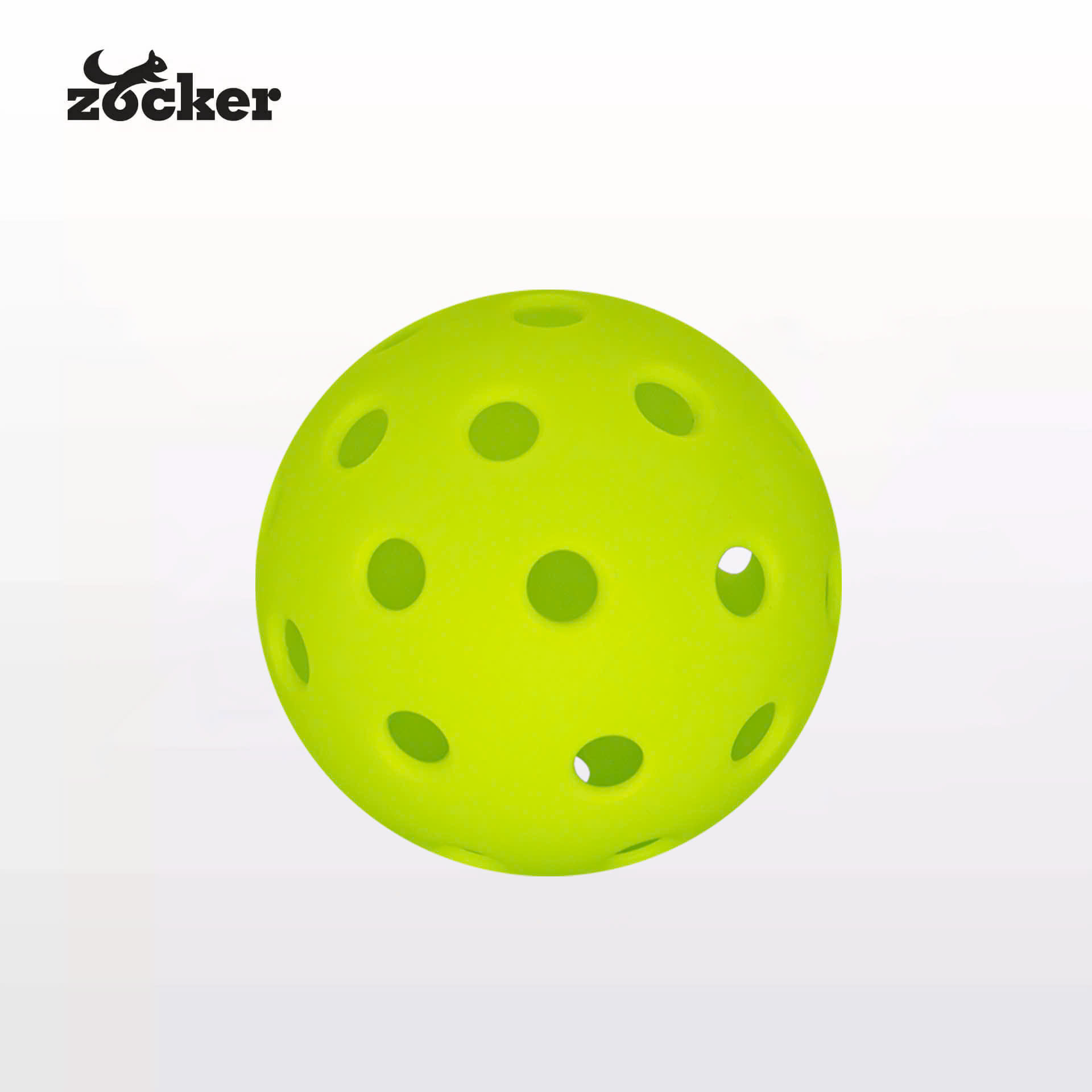 bong-tap-pickleball-zocker